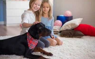 How to keep the house clean with children and pets?