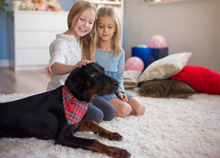 How to keep the house clean with children and pets?